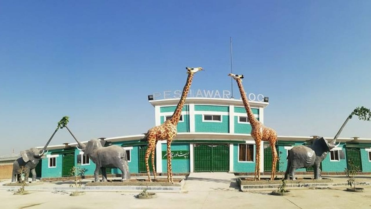 Peshawar Zoo in Peshawar